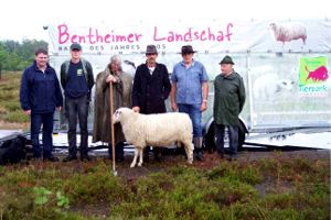 Foto: Tierpark Nordhorn, Freudiges Ergeignis: Die bergabe der Herde Bentheimer Landschafe. Unser Bild zeigt (von links) Thomas Berling, Dirk Gerrits (beide Tierpark Nordhorn), Aafke Achterhof, Chris Grinwis (beide Schferei "Schaapskudde Het Soerel"), Ludger Seybering und Johann Vrielink (Hof Blekker-Uelsen). Mit auf dem Bild ist der Bentheimer Bock "Paulus" aus der Zicht des Tierparks. 
