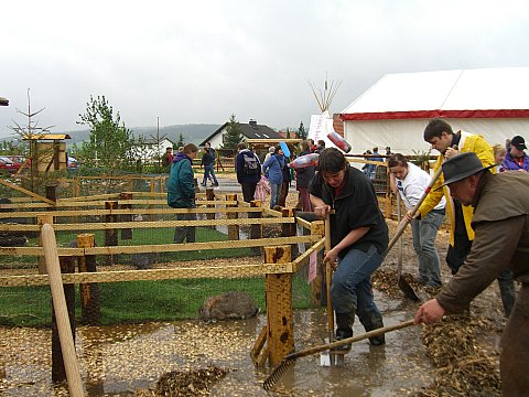 Gelnde, Foto: Antje Feldmann