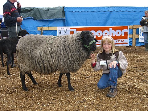 Rauhwolliger Pommerscher Landschafbock POMMI, Foto: Antje Feldmann