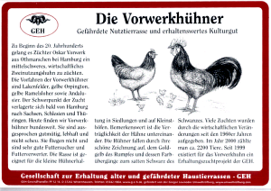 Rassetafel: Die Vorwerkhühner