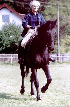 24-jhriger Hengst Hollo IX, geb. 1979, von Piros III a.d. Hollo unter Besitzerin Margita Grtler. Foto: Antje Feldmann