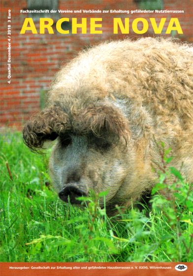Titelbild: "Gefährdete Nutztierrasse des Jahres 2019 - Das Wollschwein" - hier Blondes Wollschwein, Sau Sissy von Züchter Rudi Gosmann Foto: Repin