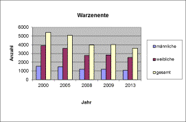 Die Bestandsentwicklung der Warzenente in den letzten 15 Jahren