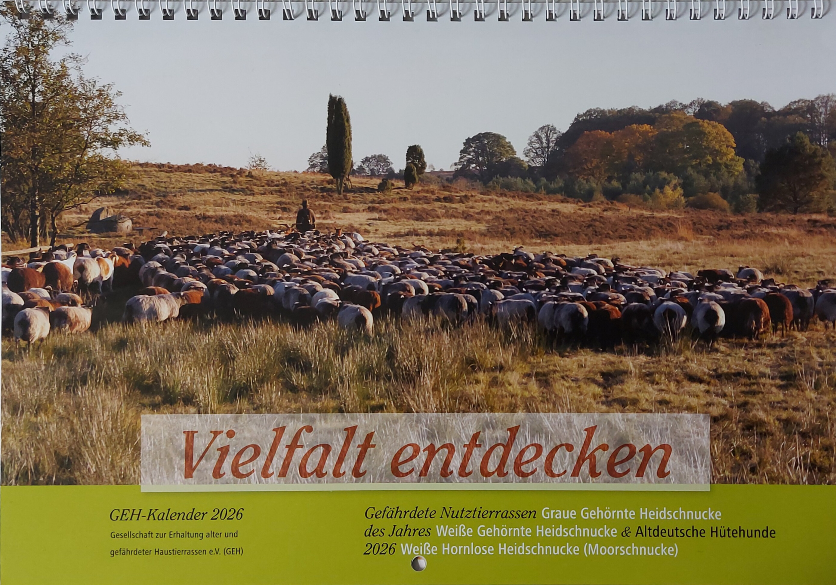 20250930 095159   bearbeitet