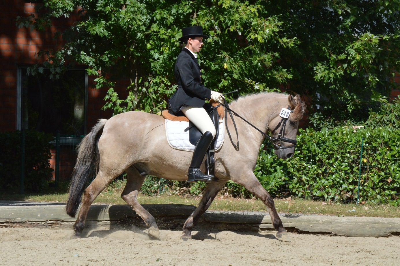 Dülmener Pinochio Britta Becker
