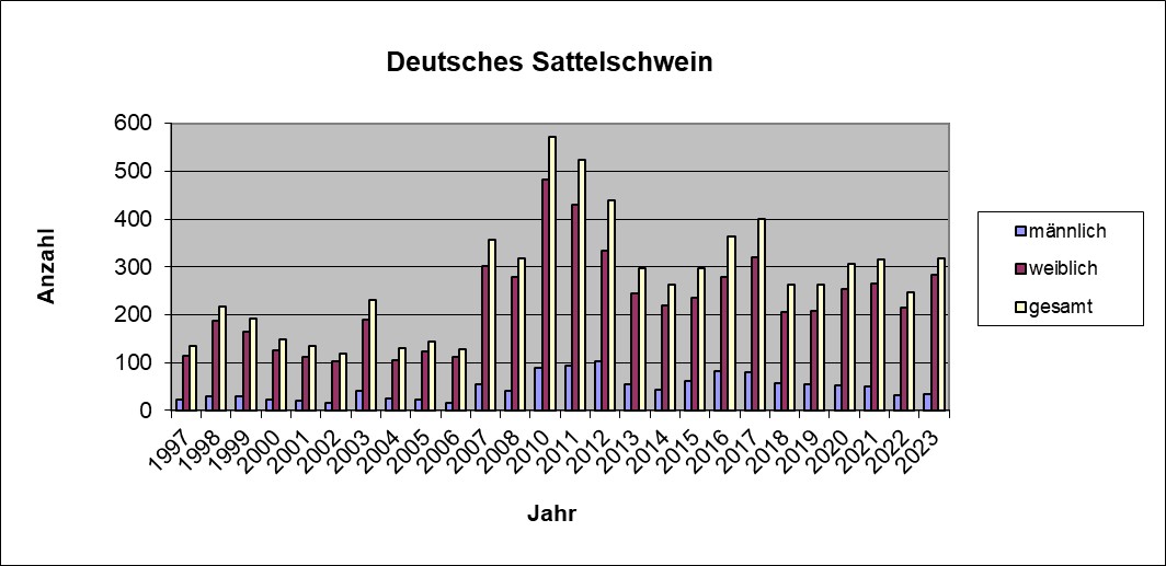 Dt.Sattelschwein 23