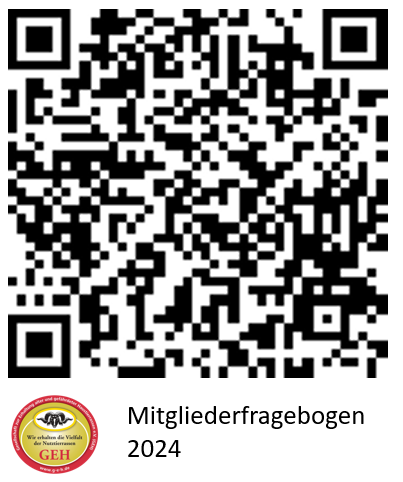 imageinterview24
